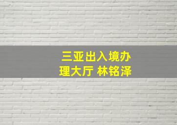 三亚出入境办理大厅 林铭泽